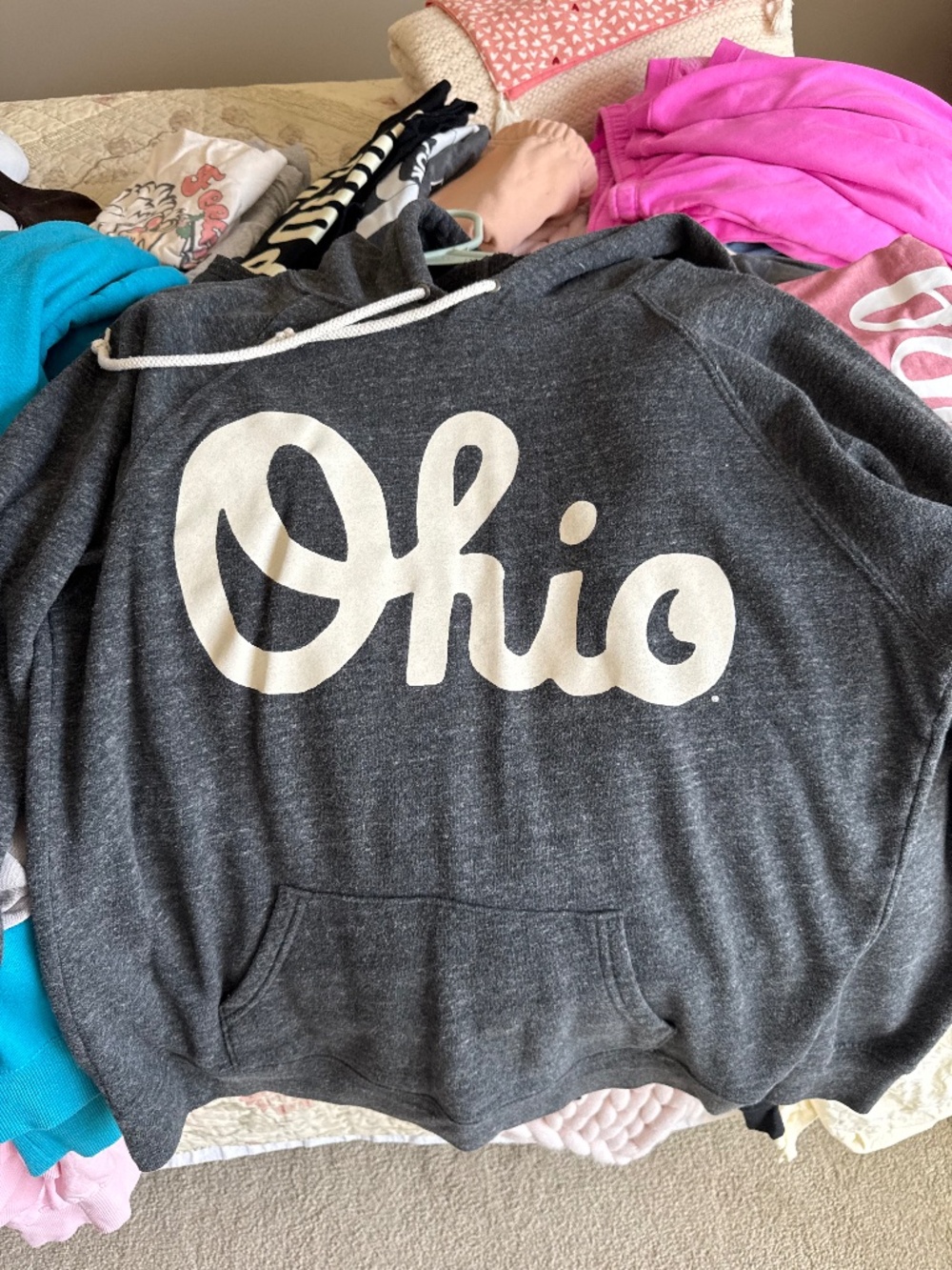 Homage Script Ohio sweatshirt